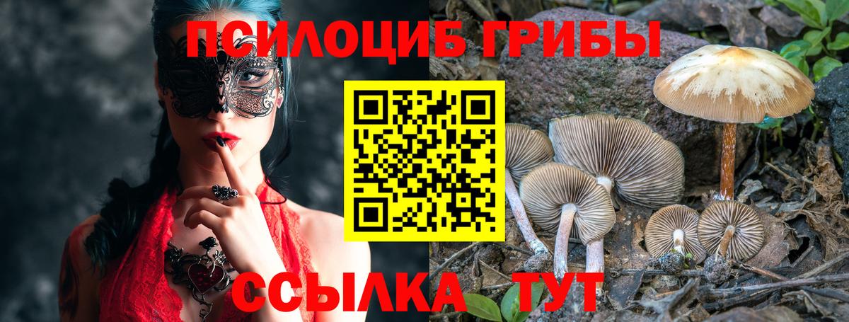 Сальск  Галлюциногенные грибы Magic Shrooms  Вход с VPN 